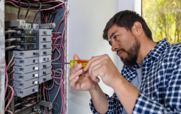 Best Electric Panel Repair  in Shoh, IL